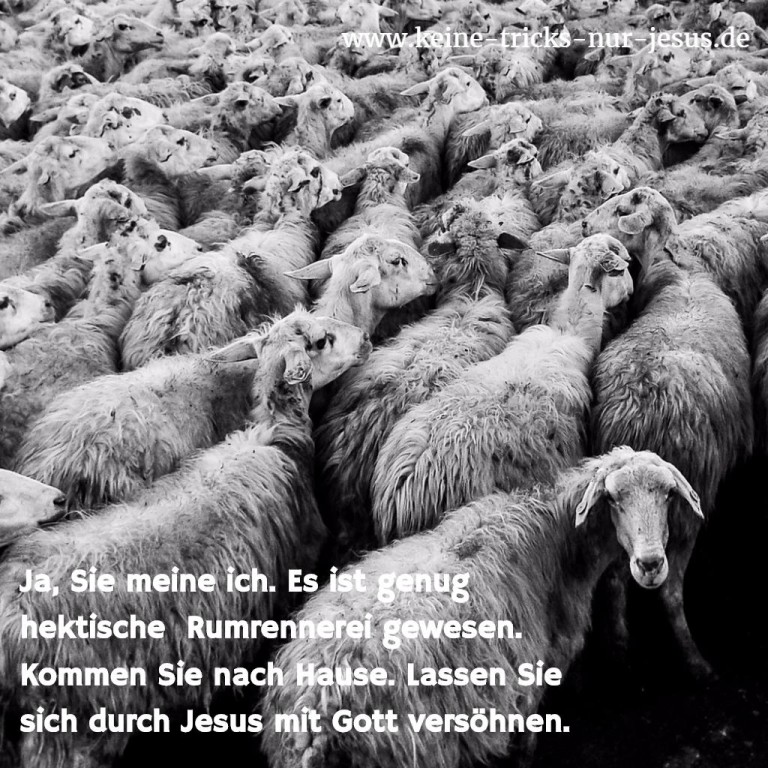 Wie Lange Bleibt Blut Nach Dem Tod Flüssig