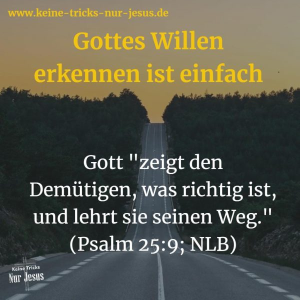 3 Bibelstellen, die zeigen, dass Gott einen Plan für Ihr