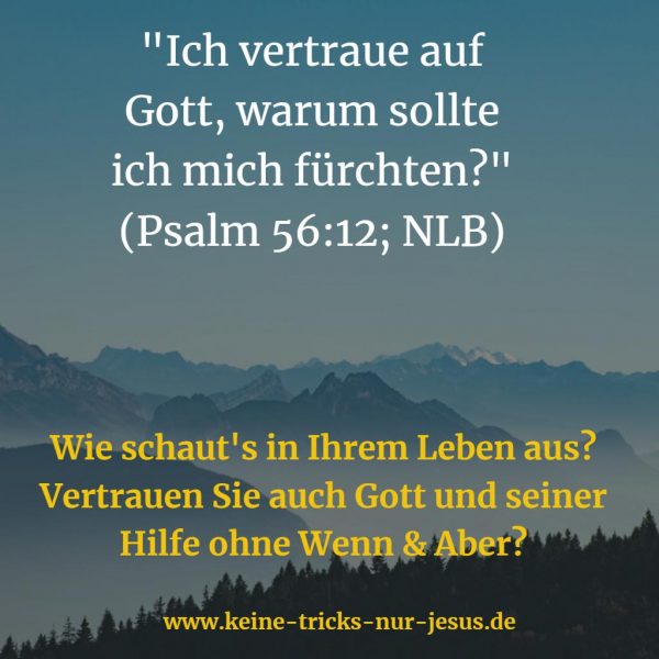 „Ich vertraue auf Gott, warum sollte ich mich fürchten?“ (Psalm 5612)