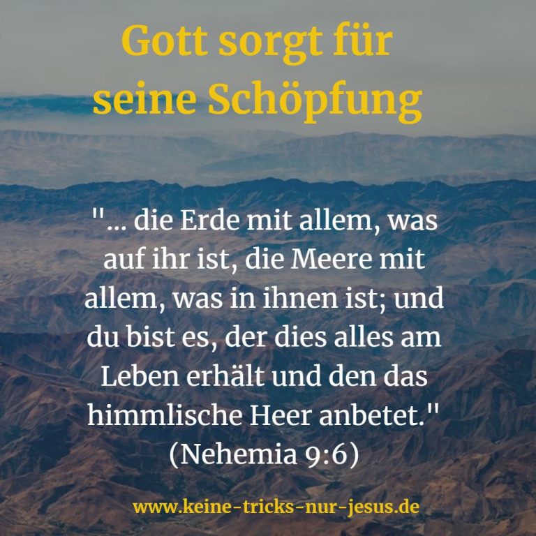 Die Schöpfung und der Schöpfer Keine Tricks nur Jesus