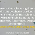 Frohe Weihnachten an alle, die heute feiern und alle, die heute traurig sind