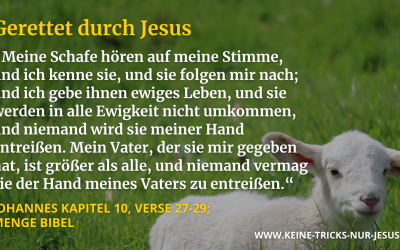 Müssen Christen Sünden bekennen? 1. Johannes 1, 9 erklärt