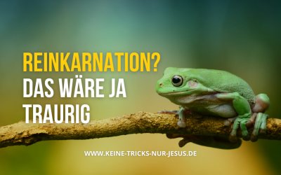 Reinkarnation? Das wäre ja traurig