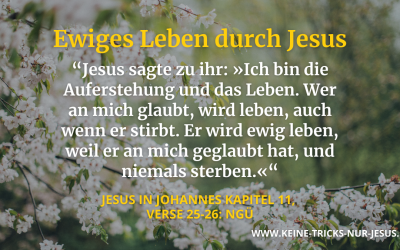 Was soll ich Ihnen schreiben?