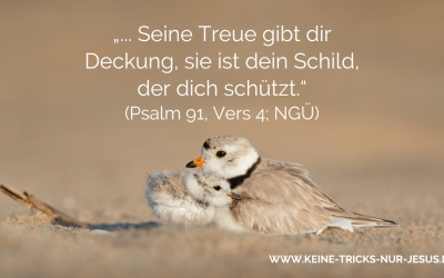Gottes Treue gibt Deckung