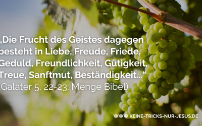 Die Frucht des Heiligen Geistes in der Bibel