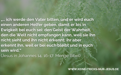 Die Taufe des Heiligen Geistes. Was ist sie und wie bekommen wir sie?